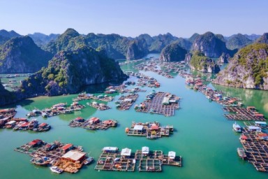 Halong Bay - Ho Ba Ham area - Ho Dong Tien (B, L, D)